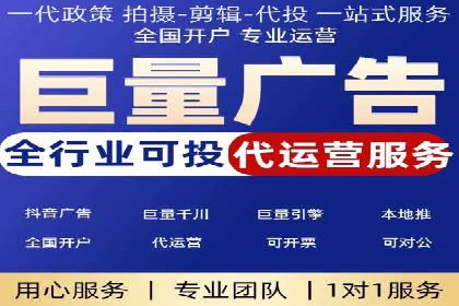 网络推广与竞价策略实战案例